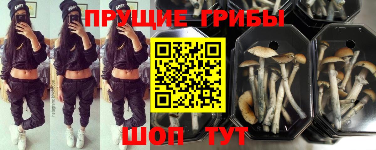 Псилоцибиновые грибы ЛСД Егорьевск